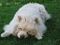 20110425_Paste 053